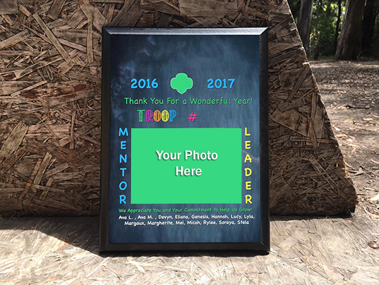 Plaques