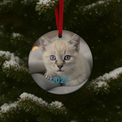Personalized Siamese cat kitten GLASS Ornament  Gift  #1