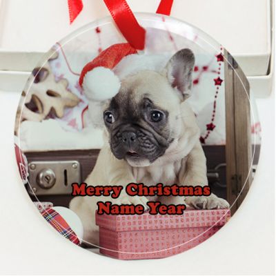 Personalized Bulldog  GLASS Ornament Custom Gift #4