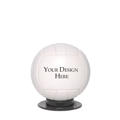 MInnie or Small Size Photo Volleyball