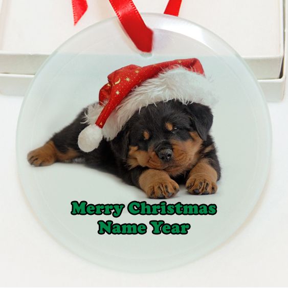 Personalized  Rottweiler Dog Sleeping Christmas Hat  GLASS Ornament Custom Gift #11