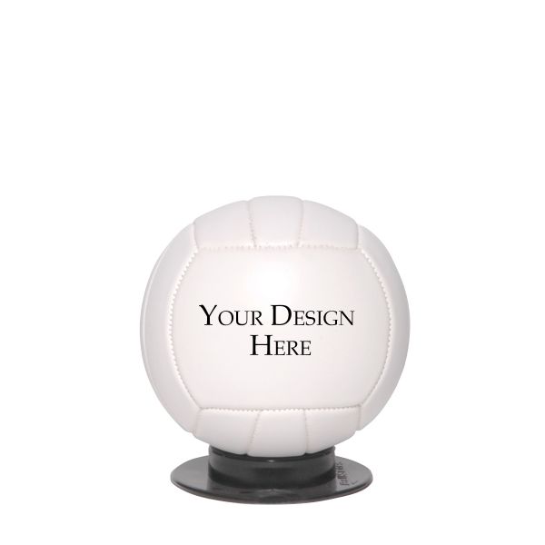 MInnie or Small Size Photo Volleyball